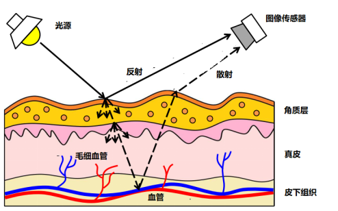(二) 技术特点